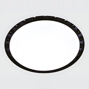 <strong>Disc</strong> 615