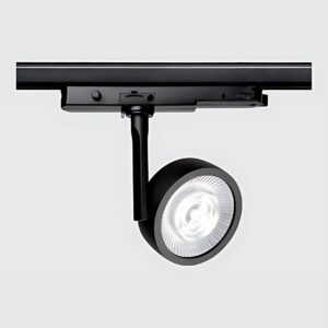<strong>Foco</strong> 20W Reflector