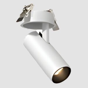 <strong>Fovea</strong> Cylinder. Grand