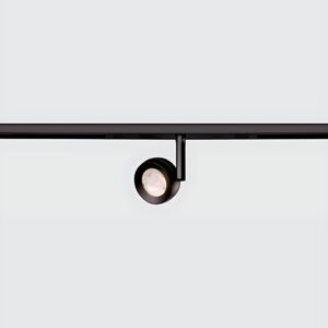 <strong>Zenith</strong> 50